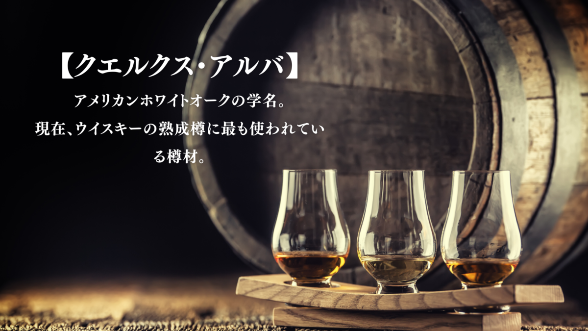 ウイスキー用語】ホワイトオーク（クエルクスアルバ）……代表的な樽材 
