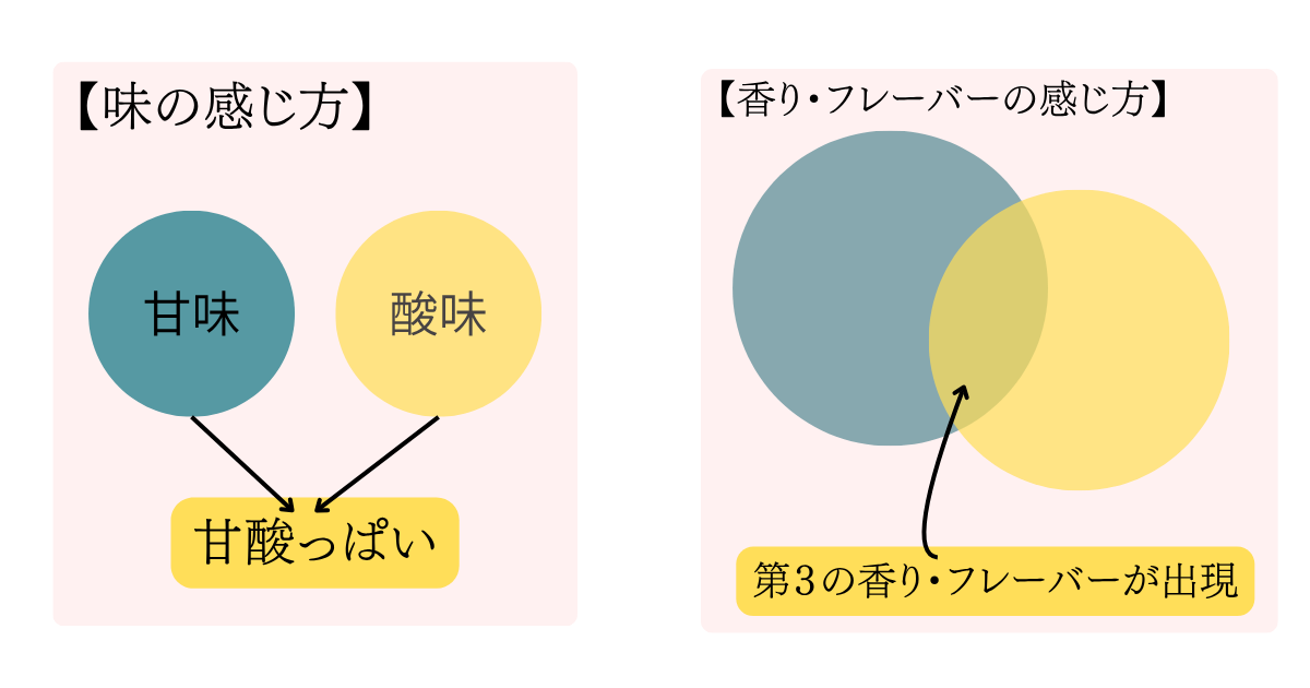 第3の香り・フレーバーが出現
甘味
酸味
甘酸っぱい
【味の感じ方】
【香り・フレーバーの感じ方】