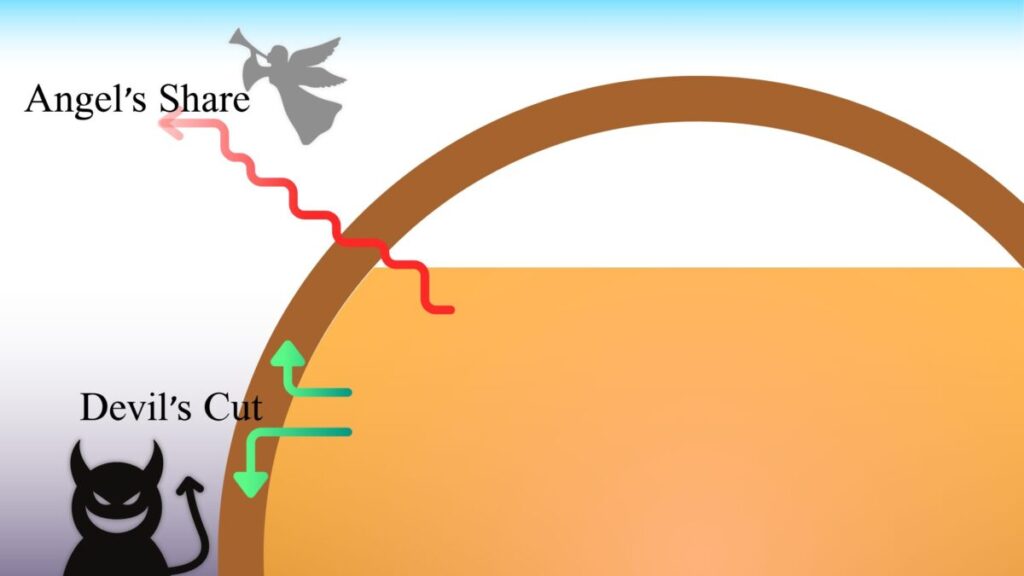 樽から蒸発していく分がエンジェルズシェア。樽にしみこんでいく分がデビルカット。